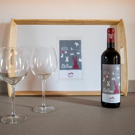 Agriturismo Villa Sardini Lukka Zewnętrze zdjęcie