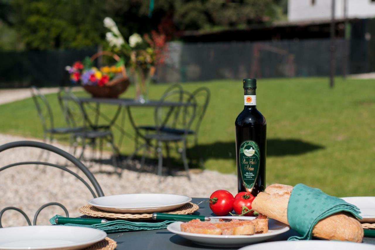 Agriturismo Villa Sardini Lukka Zewnętrze zdjęcie