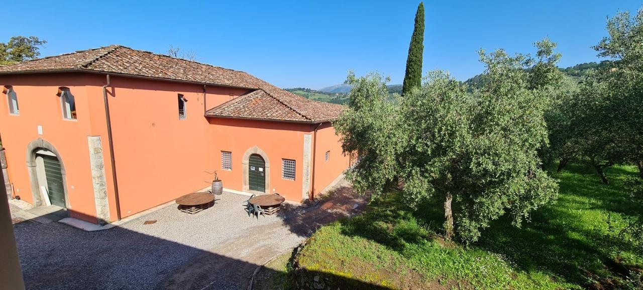 Agriturismo Villa Sardini Lukka Zewnętrze zdjęcie