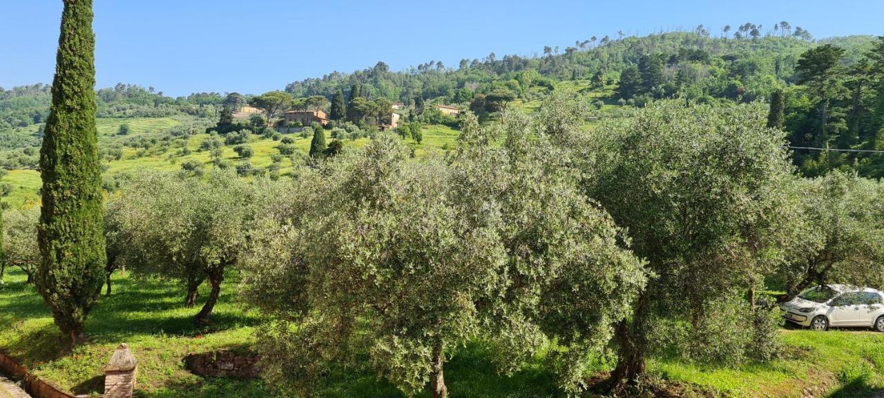 Agriturismo Villa Sardini Lukka Zewnętrze zdjęcie