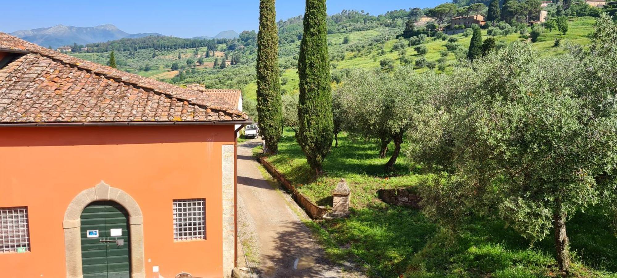 Agriturismo Villa Sardini Lukka Zewnętrze zdjęcie